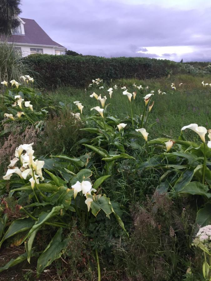 Dal Riada B&B Gweedore Exterior foto
